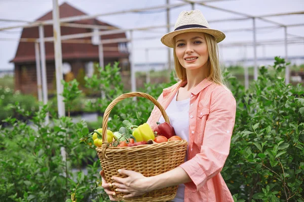 Jardinero con cesta de verduras —  Fotos de Stock