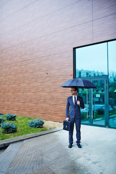 Empresário com pasta em pé sob guarda-chuva — Fotografia de Stock