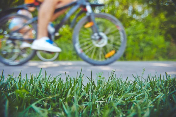 Trawy na trawniku i para na rowery — Zdjęcie stockowe