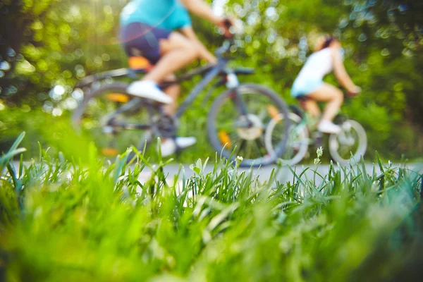 Grama no gramado e casal em bicicletas — Fotografia de Stock