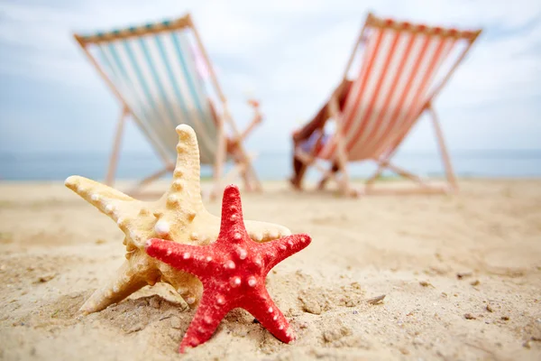 Estrellas de mar en la playa de arena —  Fotos de Stock