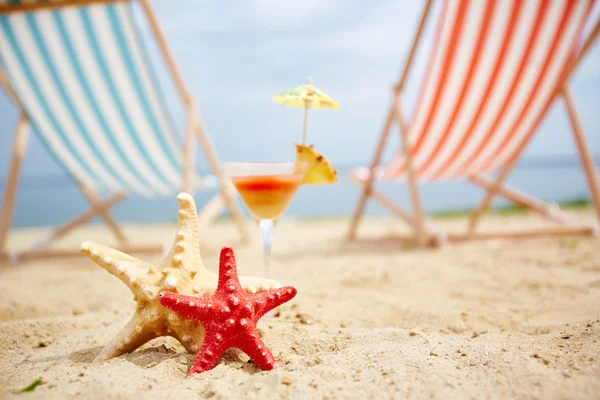 Sea stars, cocktail and deckchairs Royalty Free Stock Images