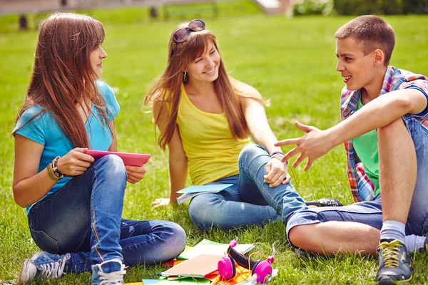 Friendly teenagers  on green lawn — Stock Photo, Image