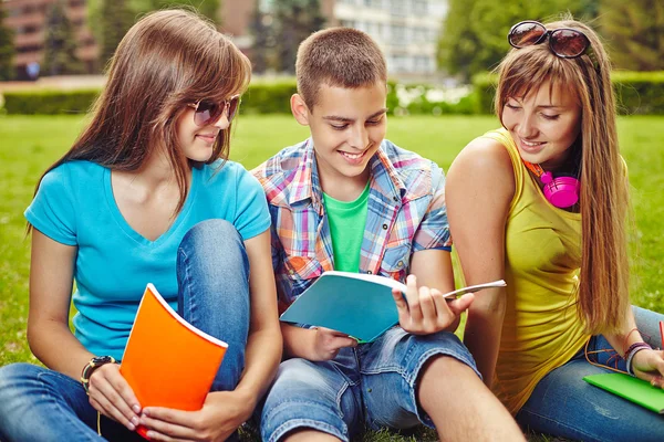 Teenagers with exercise-books  on green lawn — Stock Photo, Image