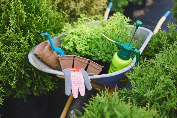 Ferramentas e objetos para jardinagem em carrinho de mão — Fotografia de Stock