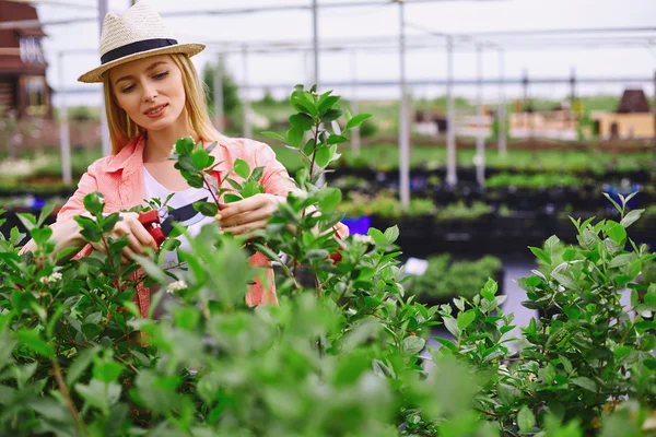 Agricultor que trabaja en el jardín — Foto de Stock