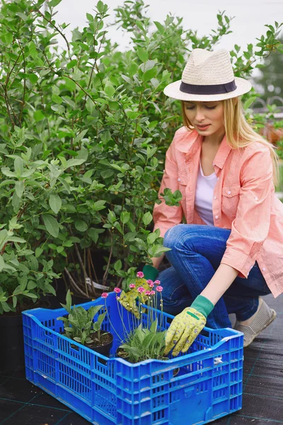 Boer in hoed herbeplanting van bloemen — Stockfoto