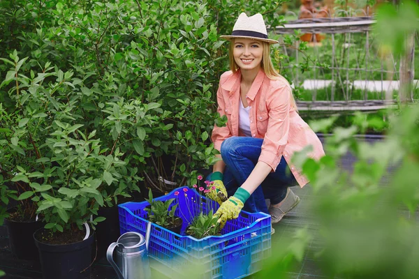 Tuinman herbeplanting tuin bloemen — Stockfoto