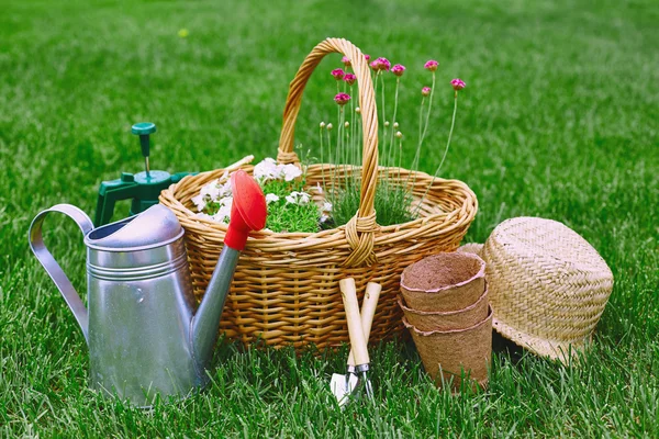 Cesta com flores e equipamentos de jardinagem — Fotografia de Stock