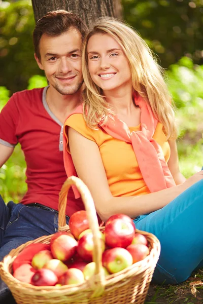 Пара в парке с корзиной яблок — стоковое фото