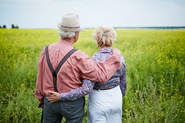 Пожилая пара в поле — стоковое фото