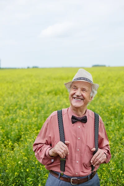 Om în vârstă pe pajişte — Fotografie, imagine de stoc