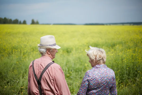 Par seniorer gångavstånd ner äng — Stockfoto