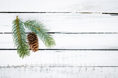 Noel köknar ağacı dalları