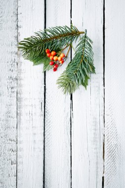 Noel köknar ağacı dalları