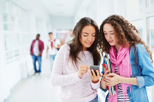 Chicas usando el teléfono celular en la universidad — Foto de Stock