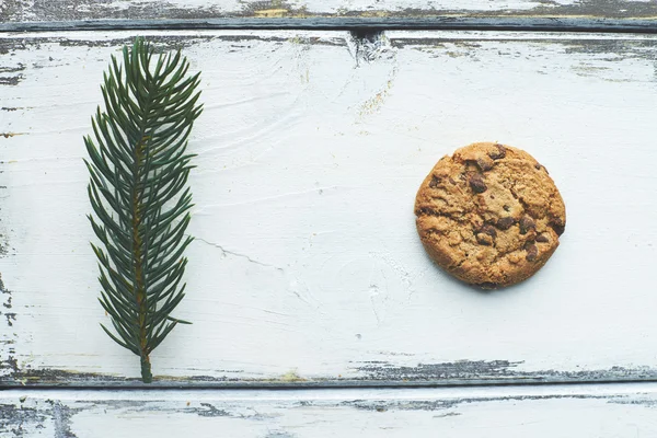 Crispy cookie and fir tree branch — Stock Photo, Image