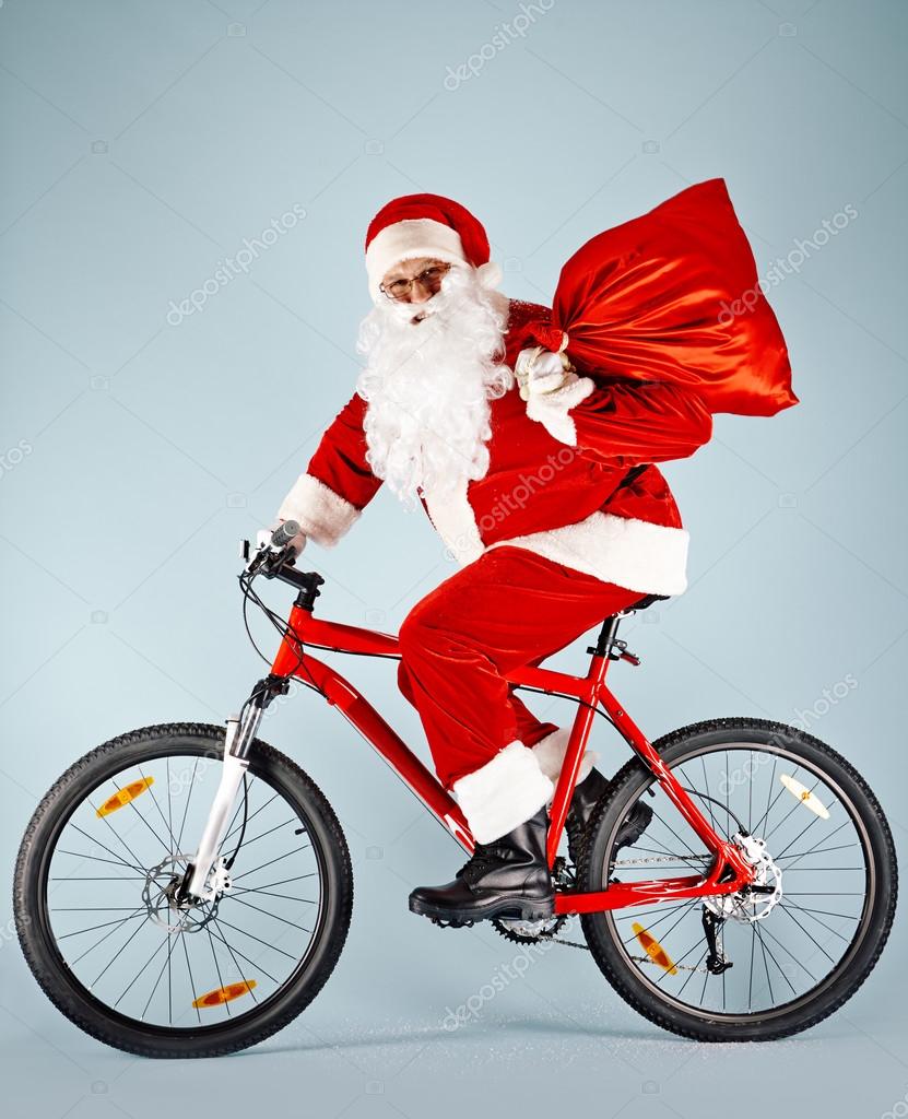 bicycle sack