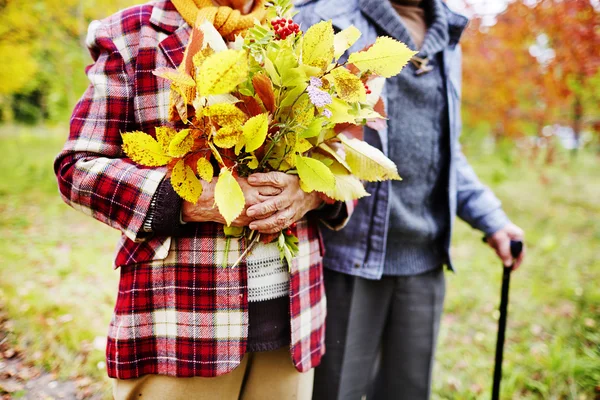 Senior hona med gula blad — Stockfoto