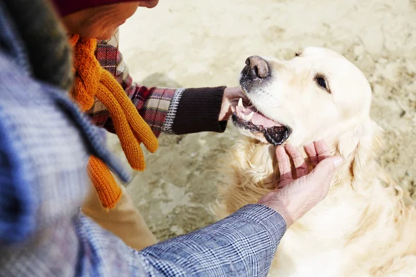 Female cuddling dog — Stock Photo, Image