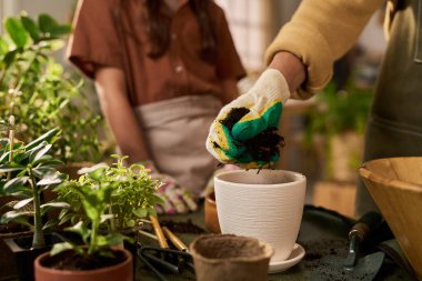 Beyaz, orta yaşlı bir kadın bahçe eldivenleri giyer seramik kaba çiçek yerleştirirken genç bir kız da bahçe aletleri ve saksı bitkilerine yardım eder.