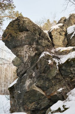 Kış ormanlarında, çıplak ağaçlarda ve kayalık kayalıkları çevreleyen yemyeşil dallarla kaplı engebeli kaya oluşumları doğal manzara.