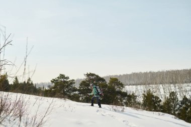 Beyaz, genç bir kadın, karlı arazide yürüyüş yapıyor. Sırt çantası ve yürüyüş direkleri taşıyor. Kış ormanı ve açık gökyüzü ile çevrili.