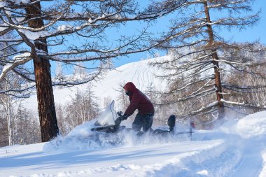 Kışın ormandaki kar aracında giden adam ağaçlar arasında manevra yaparken barut izi bırakıyor. Arka planda görünen dağ manzarası.