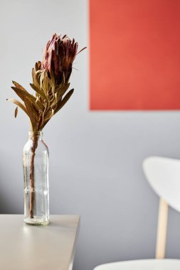 Cam vazodaki çiçeğin dikey görüntüsü kırmızı ve beyaz duvar arkaplanına karşı