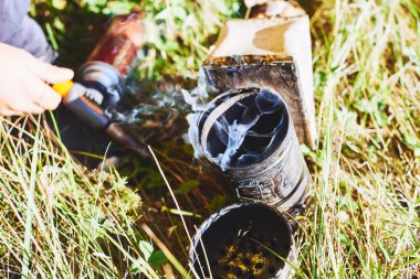 Görünür dumanı olan el yapımı metal arı içicisi çimenli alanda yükseliyor. Arıcılık faaliyetlerine, ekipmanlara ve yere saçılmış aletlere hazırlanıyor.