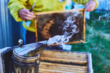 Arı kovanına bakan adam ön planda yükselen dumanlı bir sigara kullanıyor, arıcılık sırasında bal peteği çerçevesini açık tutuyor, elleri görünür, yüzü odaktan çıkmış.