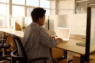 Çizgili siyah-beyaz bluz giyen şık Afro-Amerikan kadın modern ofiste dizüstü bilgisayarla çalışıyor akşam güneşiyle aydınlanıyor.