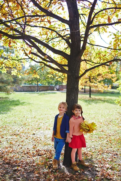Little friends in autumn park — Stock Photo, Image