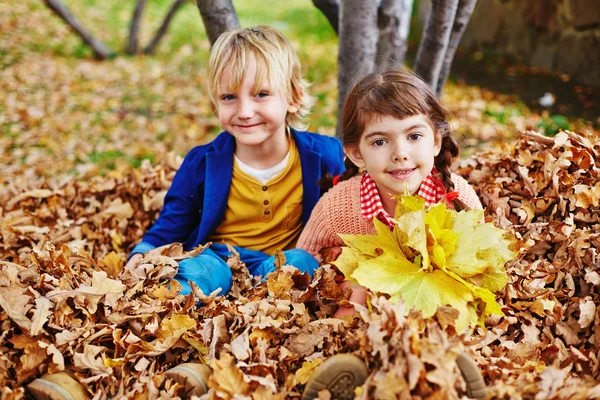 Маленькие друзья в осенних листьях — стоковое фото