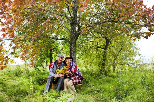 Coppia anziana sotto albero in parco — Foto Stock