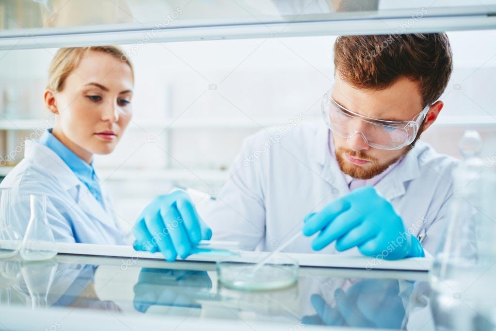scientist making biotechnological experiment with  assistant