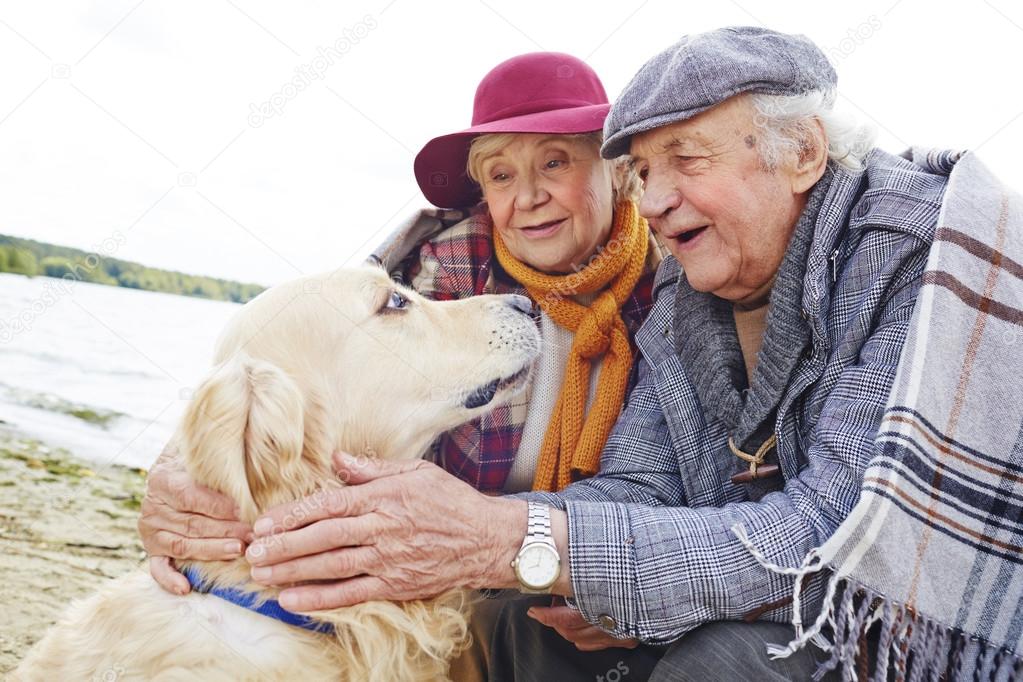 Senior couple looking at retriever