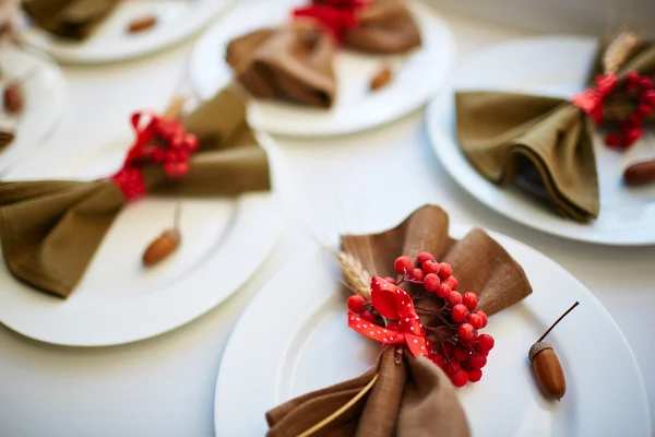 Ashberries, napkin, acorns on plates — Stock Photo, Image