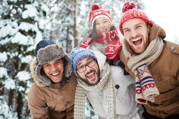 Amigos en ambiente natural en invierno — Foto de Stock