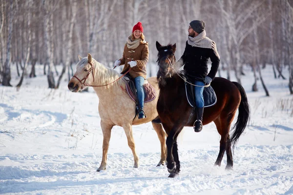 Coppia felice equitazione — Foto Stock