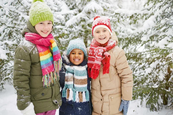 Három lány téli erdőben — Stock Fotó
