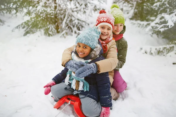 Ragazze in slitta nella foresta invernale — Foto Stock