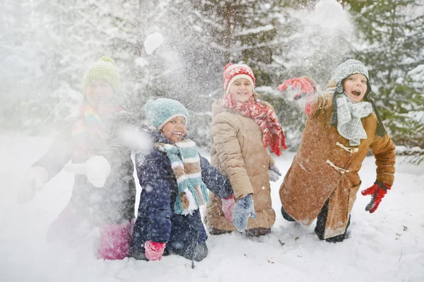 Snöboll kul i vinter skog — Stockfoto