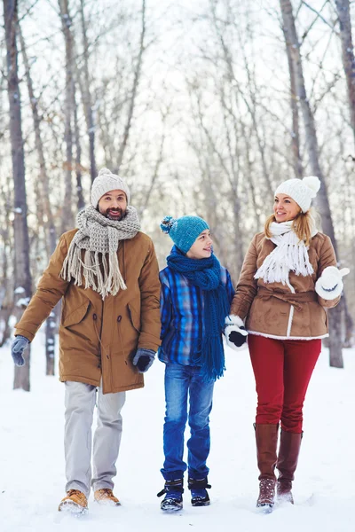 Family holding hands  in winter day — Stock Photo, Image