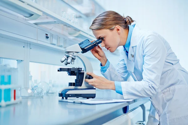 Cientista estudando novo vírus — Fotografia de Stock