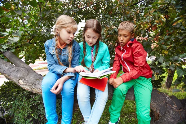 Schoolkids czytanie książki — Zdjęcie stockowe