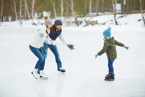 적극적인 가족 스케이트 — 스톡 사진
