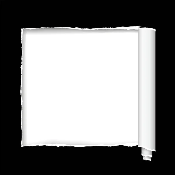 Fondos Vectores Papel Rasgado Vector — Vector de stock