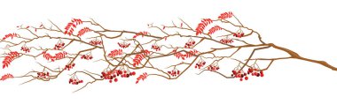 Turuncu ve kahverengi sonbahar yaprakları ve rowanberry ile vektörsüz yatay sınır