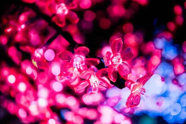 Yeni yıl ya da Noel şehri aydınlatma kirazı ya da sakura ağacı. Sokak dekorasyonu. Bayram havasında afiş. Güzel bahçe ışıkları. Soyut sanat arkaplanı.